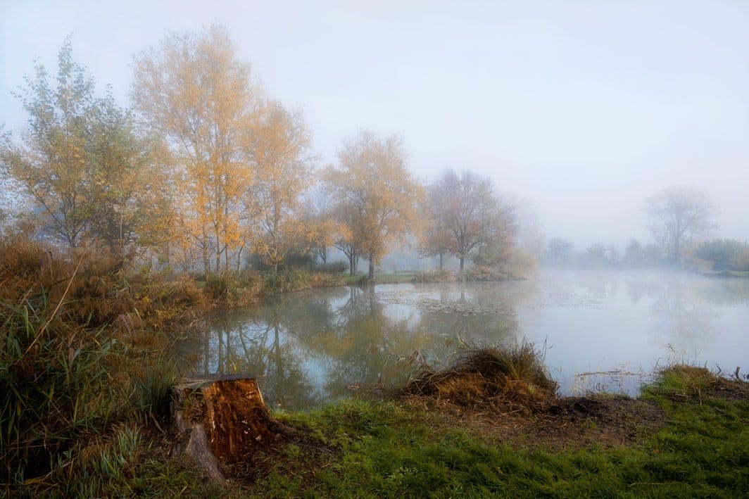 /uploads/Automne_brume_sur_chaleyre_5_f84a959c81.jpg